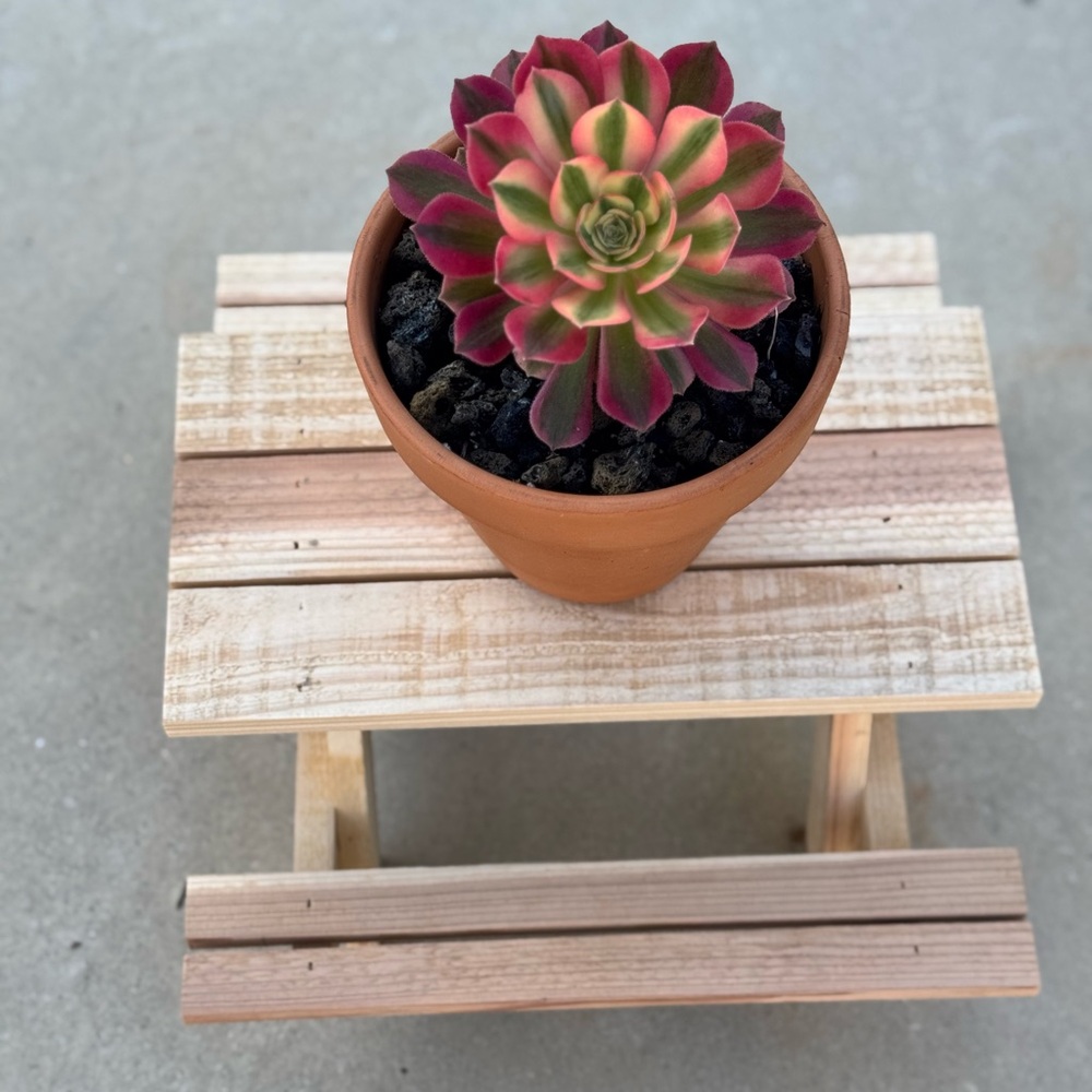 Miniature Rustic Picnic Table – Handcrafted Wooden Plant Stand & Decor